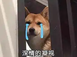 七夕单身狗
