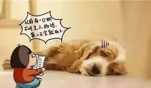 安贝日记情人节,我们一起干了2019的第一份狗粮
