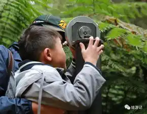 寒假牧场森林海岸星空珍稀动物......那么好玩的地方,何苦拿照片来骗
