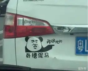 看到五菱大哥的车屁股,路怒秒变佛系盘点那些搞笑车贴
