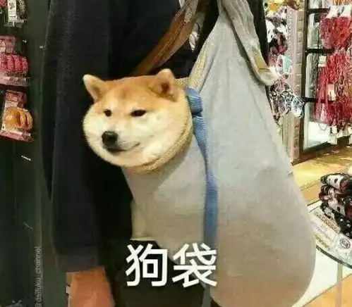 如何优雅地追回被骗款项下篇
