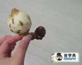元宵佳节老妈炸的汤圆搞笑图片

