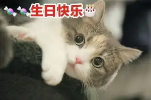 生日快乐表情包猫咪图片版13张
