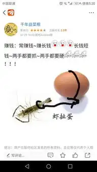 扯蛋图片欣赏无需评论祝您周末快乐
