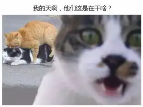 给动物们配上文字之后
