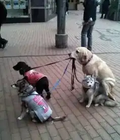 搞笑图片美女,你知道有多少人因为你坐过站
