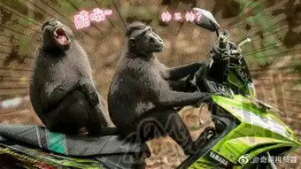支配性支配性最新消息,新闻,图片,视频聚合阅读新浪网

