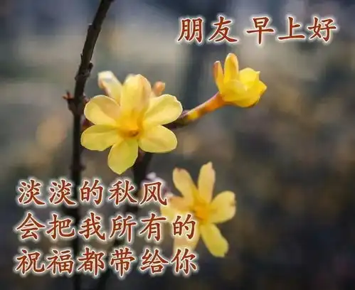 12张最新唯美的冬天早安图片带字,漂亮好看的美女早上好问候语图片