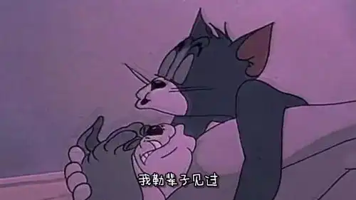 爆笑四川话猫和老鼠之,猫抱到狗亲
