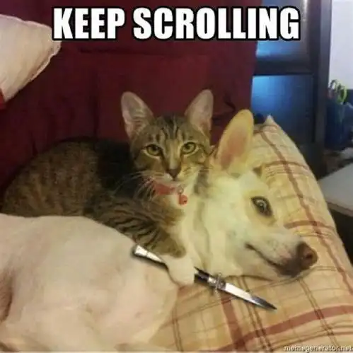 lzy09300031趣图keepscrolling