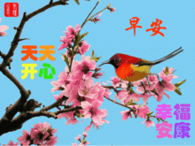 2018最新早安问候动态图片带字最美早上好图片带字
