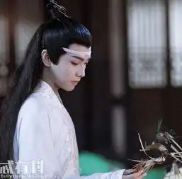 陈情令思追是什么时候恢复记忆的蓝思追和阿苑是什么关系

