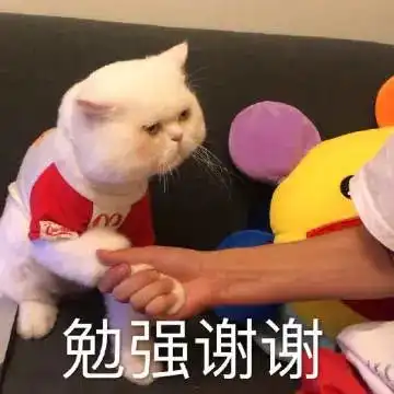 点进来,你就是我的人啦丨第121期喵表情
