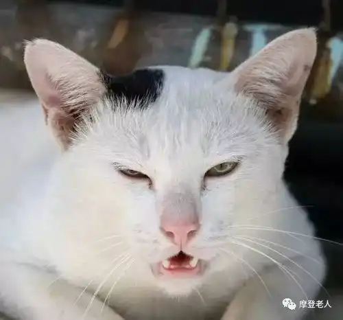 单位各部门领导表情大全,笑晕了

