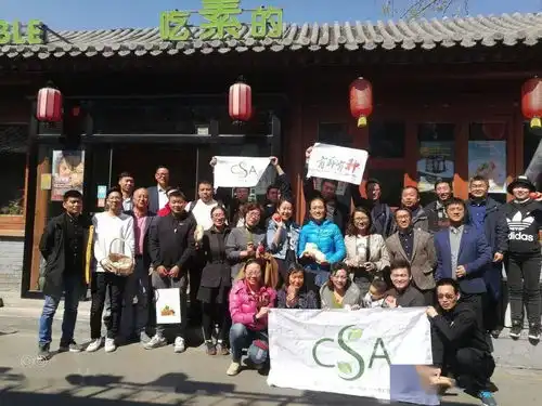 细数2019耕耘乡土,同行者众
