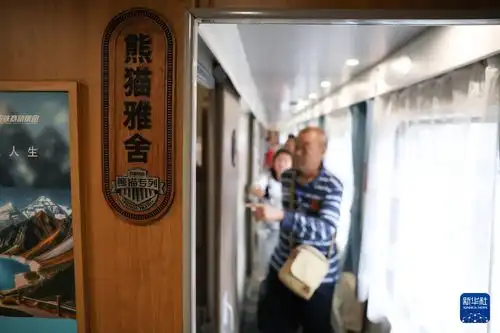 中国老挝旅游列车熊猫专列开行趣图图片频道

