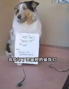 繁忙的周二,让二货狗狗们逗你一笑吧

