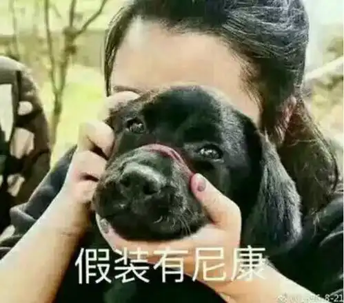 表白三中社团中港映画,拍人更美,长枪短炮,带你走进不一样的世界
