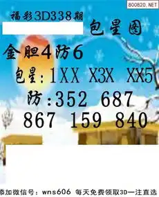 338期小军图库
