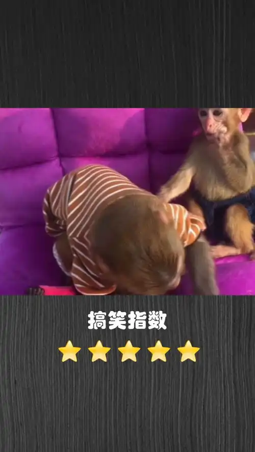 爆笑恶搞小猴子对服务不满意,准备要开车去红浪漫了
