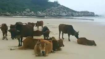 一场随心的旅行,从海南岛开始
