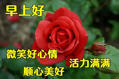 聊天的图片