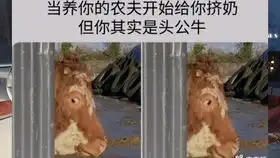 那些网上笑死人的搞笑沙雕图片,你能忍住几秒
