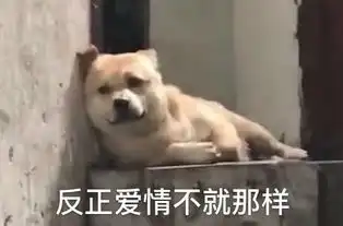 反正爱情不就那样狗子

