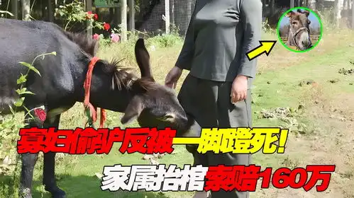 安徽寡妇偷驴失误,反被毛驴一脚蹬死,家属抬棺索赔160万
