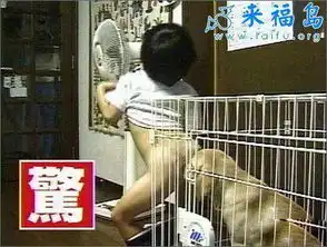 白乌鸦扯蛋键盘侠闹心搞事,dnf躺中枪
