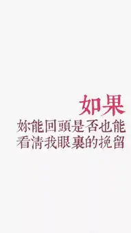 文字系列
