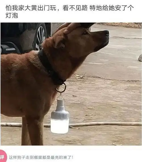 用四个字来描述一下自己的长相,评论区都是人才呀,哈哈哈哈
