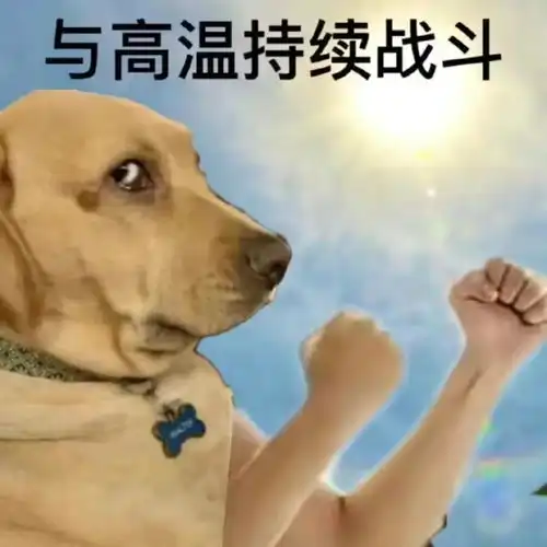 成都冷门但好玩的地方今日头条
