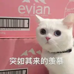 嵊州小吃也能ins风40年的老师傅手做小笼包,这才叫皮薄肉嫩汤汁多
