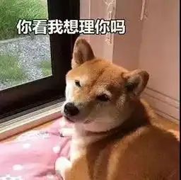 让初恋后悔,让暗恋心碎,给现任长脸全靠它美圈北京天津
