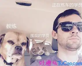 吐槽坑最新爆笑笑话搞笑图片神吐槽20161203
