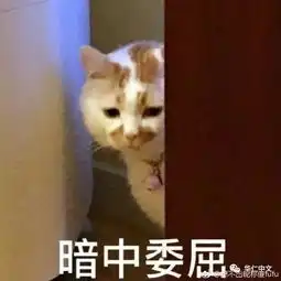 紧急提醒又一项微信服务宣布将收费这些人要哭了