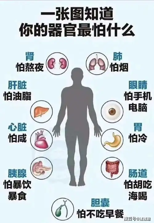 搞笑图片史上最短总裁小说,看作者名字就不靠谱

