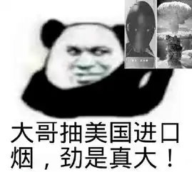 继续表情包抽烟