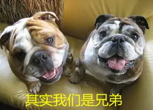 行业首页
