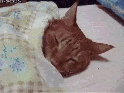 熬夜仙人越南大姐30年不睡觉但还有更夸张的...
