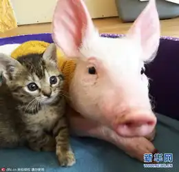 无标题
