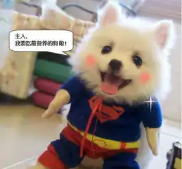 盘点10款狗粮,其中一款狗吃了都不对你摇尾巴了优恪测评

