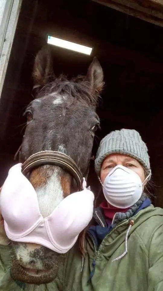 有没有一些比较沙雕搞笑的图片跟视频
