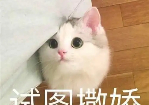 你跟我在一起就是为了我