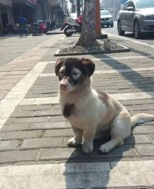 搞笑图片和朋友一起出来按脚,为什么我想换人呢
