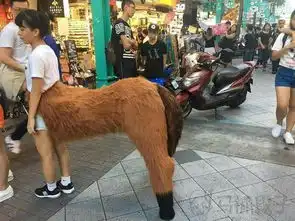 今日搞笑图片偶像巨星今日流落街头吃垃圾为生
