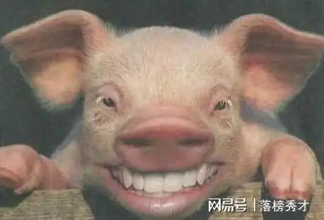 朱厚照的禁猪令差点导致灭了国
