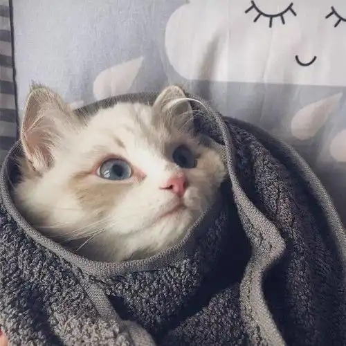 朋友圈背景图叫不醒一个装睡的人
