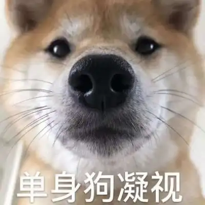 表情包头像搞笑图片带文字的单身狗头像
